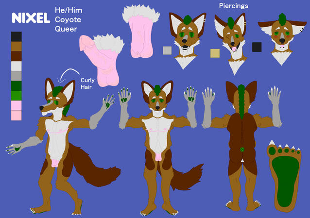 Nixel 2024 Reference Sheet